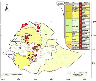 Price-quality relationships for the main livestock feed types in the Ethiopian feed market